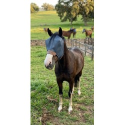 Blue PVC mesh fly mask with/without the horses name
